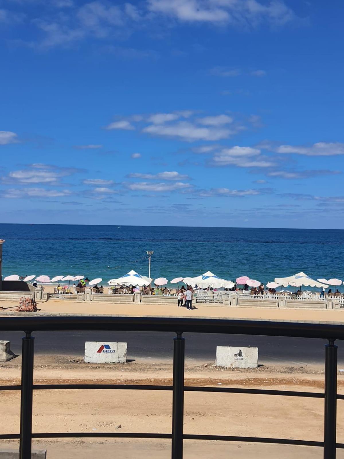 Zafero Families Only Apartment Alexandria